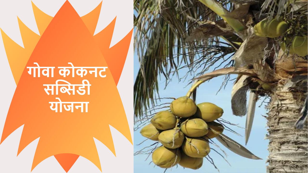 गोवा कोकनट सब्सिडी योजना