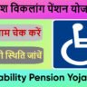 उत्तर प्रदेश विकलांग पेंशन योजना लिस्ट 2025