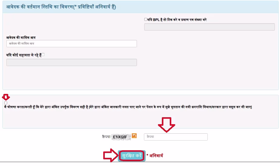 UK Vidhwa Pension Yojana Application Form