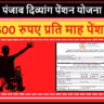 Viklang Pension Yojana Punjab