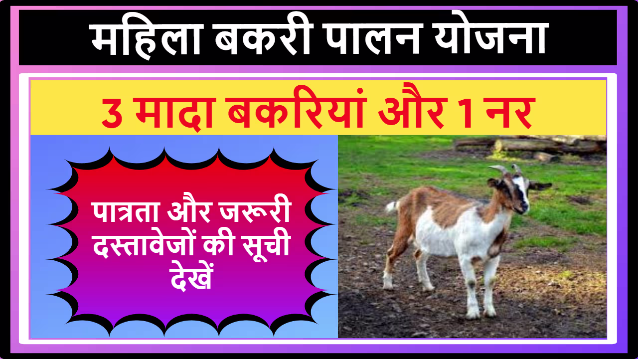 Mahila Bakri Palan Yojana Uttarakhand