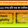 Educated Unemployed Stipend Scheme Mizoram