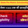 Disabled State Pre Matric Scholarship Scheme Maharashtra